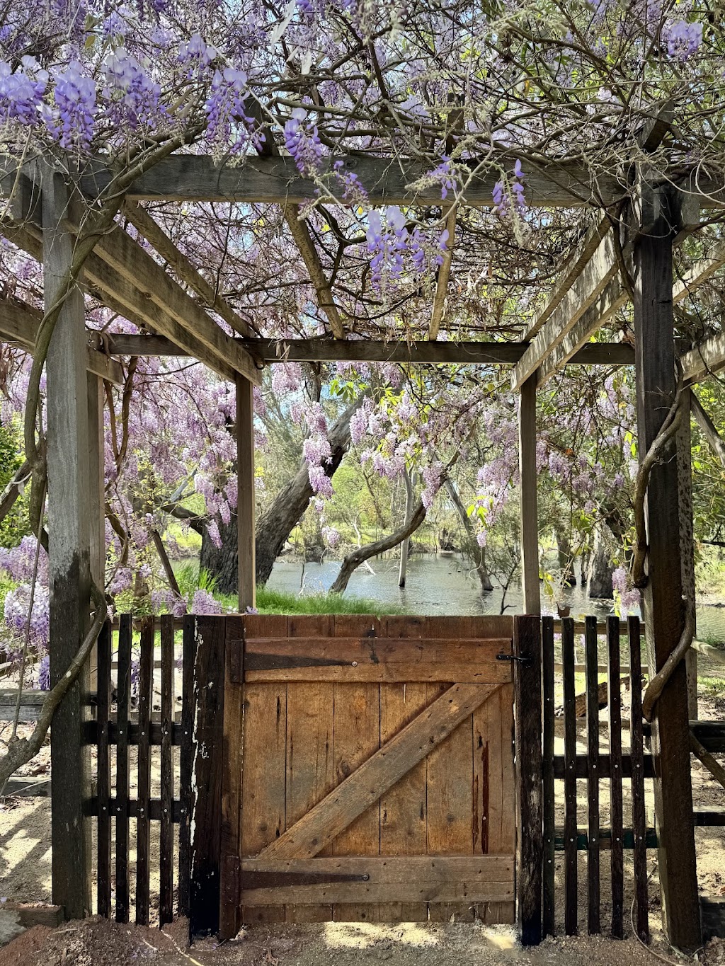 Bimbimbie Learning Studio | 3060 Midland Hwy, Nalinga VIC 3646, Australia | Phone: 0400 168 456