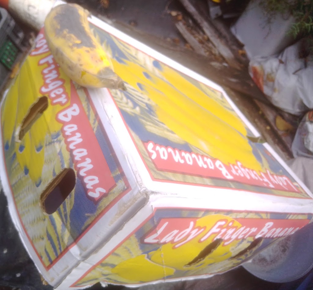 F & R SLAVIERO | 249A Coramba Rd, Coffs Harbour NSW 2450, Australia | Phone: (02) 6651 2243