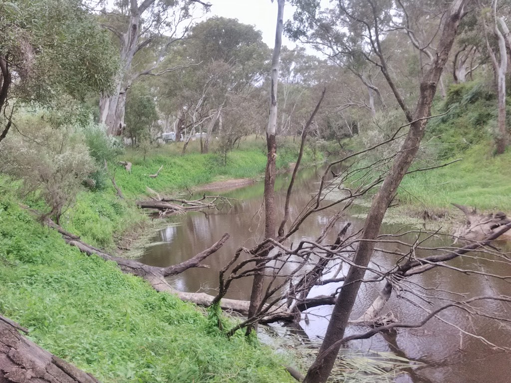 Glenelg River (3) Streamside Reserve | park | Dartmoor VIC 3304, Australia