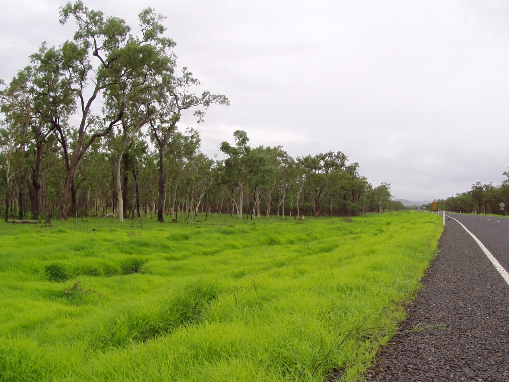 Black Mountain (Kalkajaka) National Park | park | Rossville QLD 4895, Australia | 137468 OR +61 137468