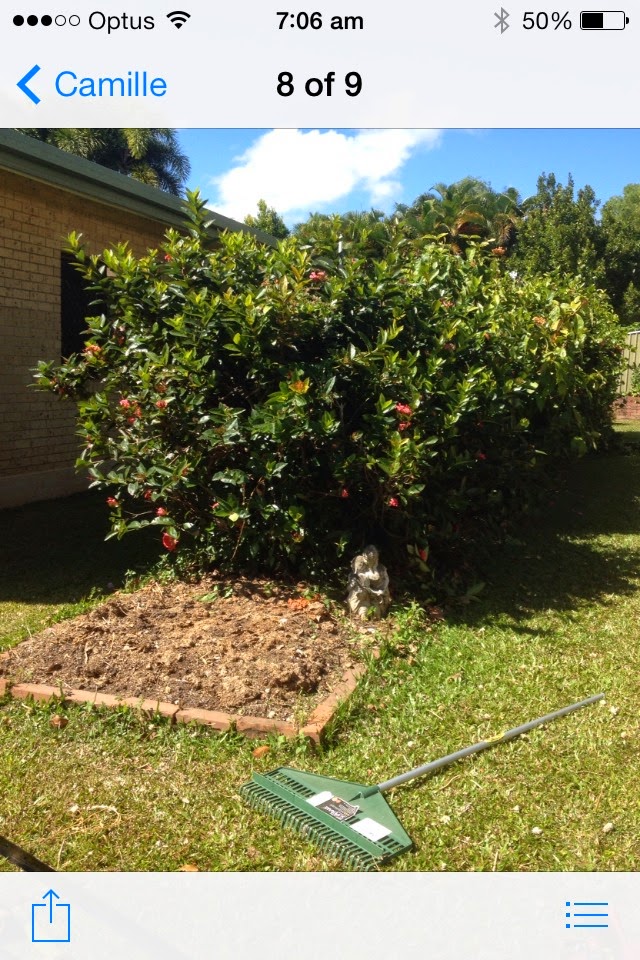 James Lawn and Garden Care Cairns & Redlynch | 93 Gamburra Dr, Redlynch QLD 4870, Australia | Phone: 1800 152 637