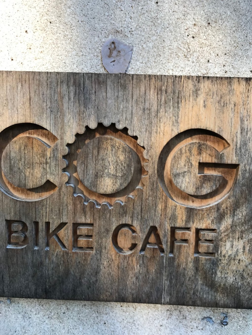 Cog Bike Cafe | cafe | 42 Station Rd, Warburton VIC 3799, Australia | 0359662213 OR +61 3 5966 2213