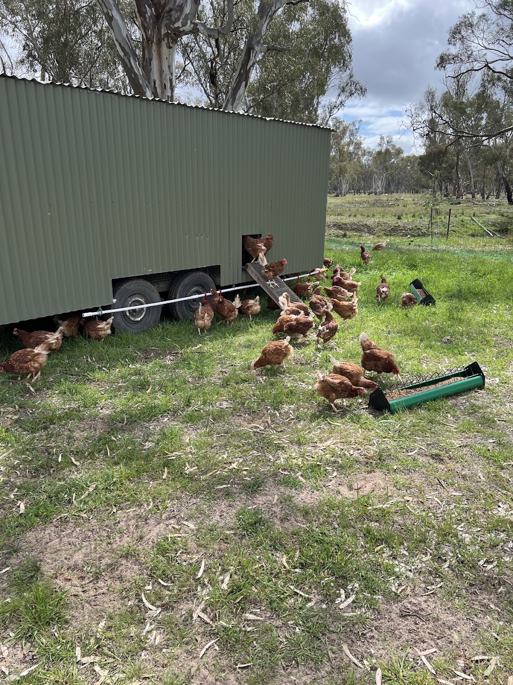 Swallows Lane Farm | 50 Swallows Ln, Dimboola VIC 3414, Australia | Phone: 0408 129 076