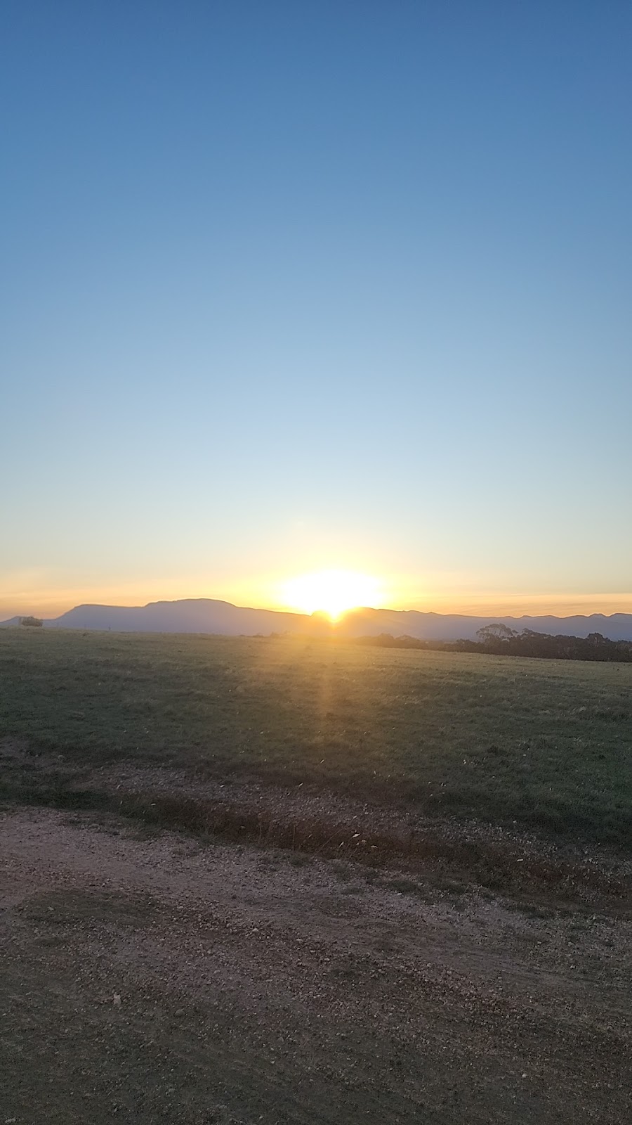 Clan of 6 Roses | Lot 2 Sugarloaf Rd, Rhymney VIC 3377, Australia | Phone: 0451 553 122