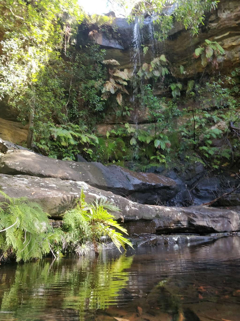 National Falls | park | McKell Ave, Waterfall NSW 2233, Australia