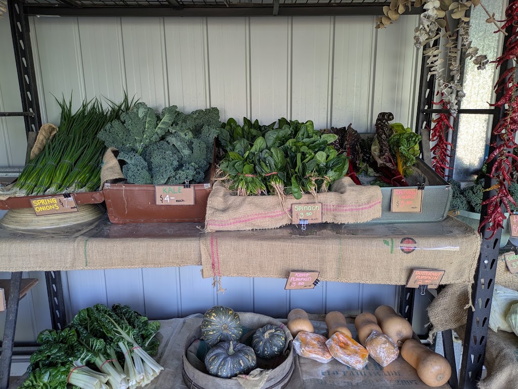 D and A Farm Fresh | 245 Eramosa Rd W, Moorooduc VIC 3933, Australia | Phone: 0401 569 837