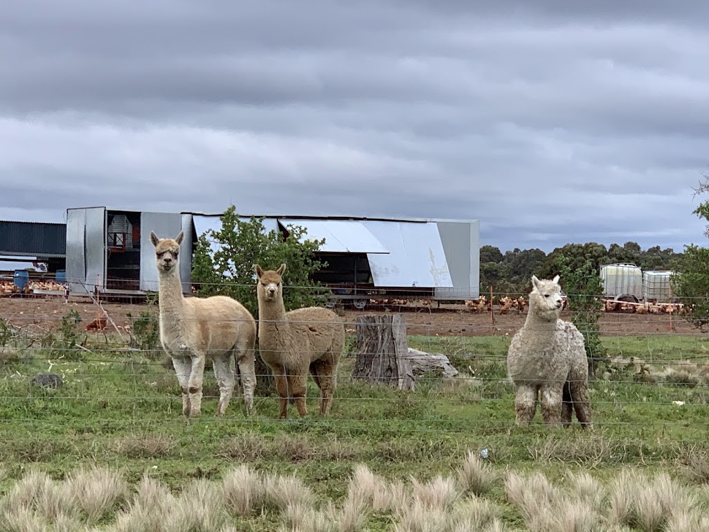 Blue Valley Farms Pty Ltd | 100 Martin Rd, Little River VIC 3211, Australia | Phone: 0425 819 417