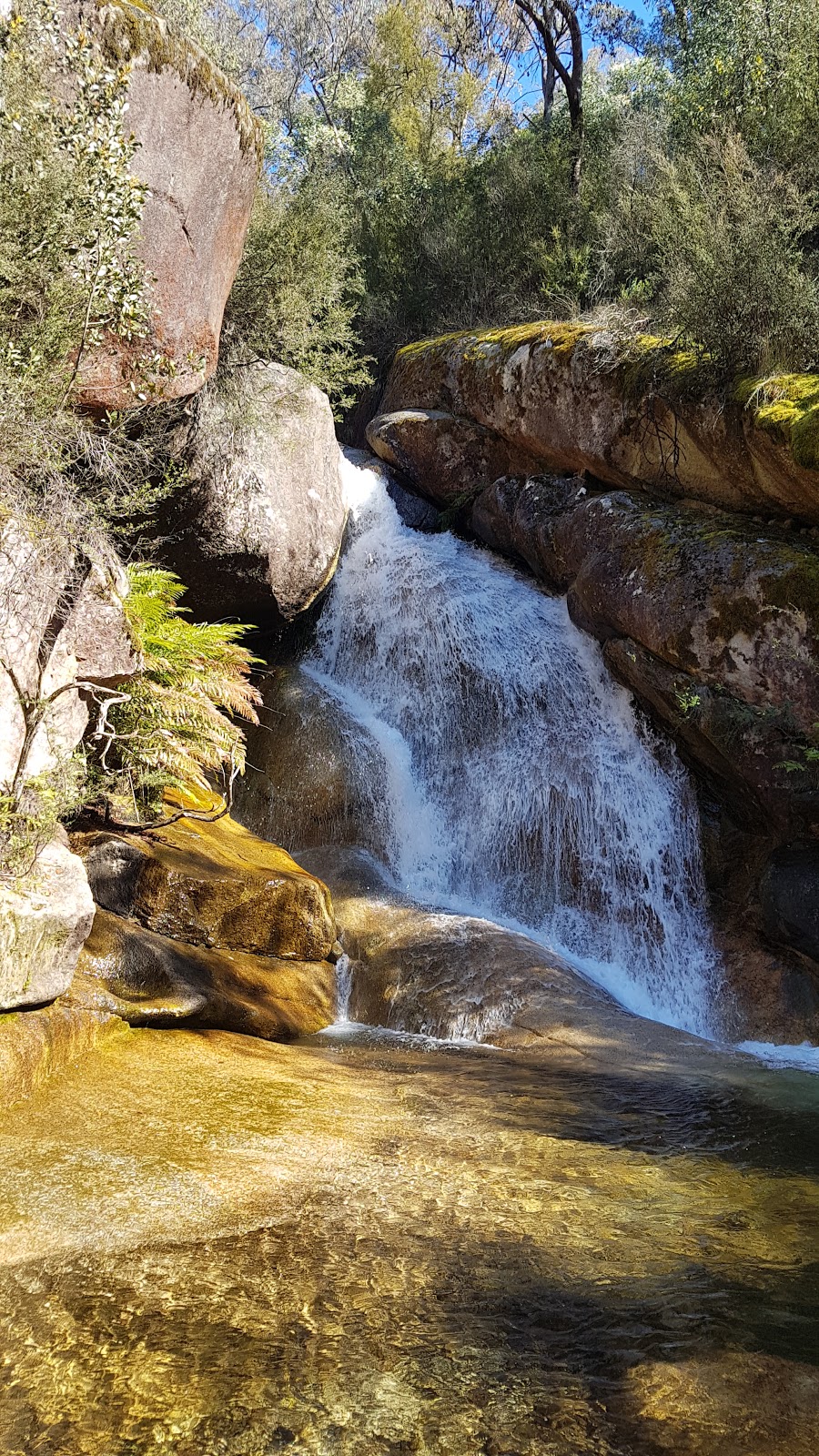 Eurobin Falls Walking Trail | park | Mount Buffalo Rd, Porepunkah VIC 3740, Australia