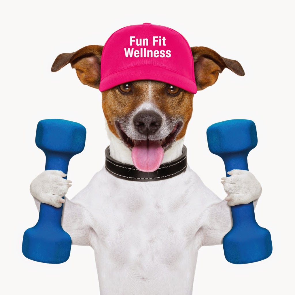 Fun Fit Wellness | health | 65 Nina Dr, Palmview QLD 4553, Australia | 0438196858 OR +61 438 196 858