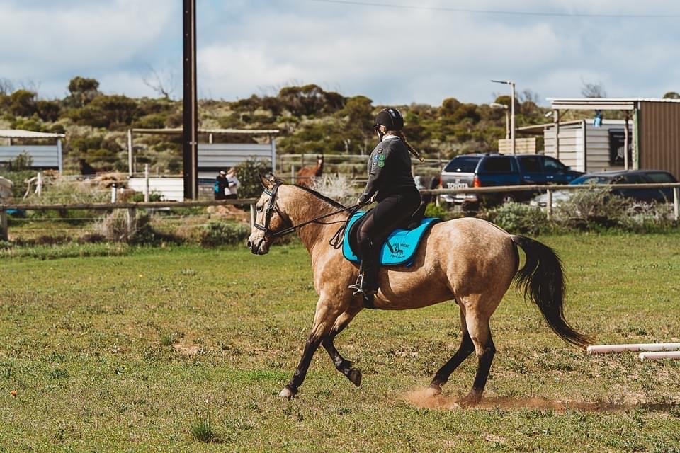 Far West Pony Club Inc | 247 Decres Bay Rd, Ceduna SA 5690, Australia | Phone: 0448 394 307