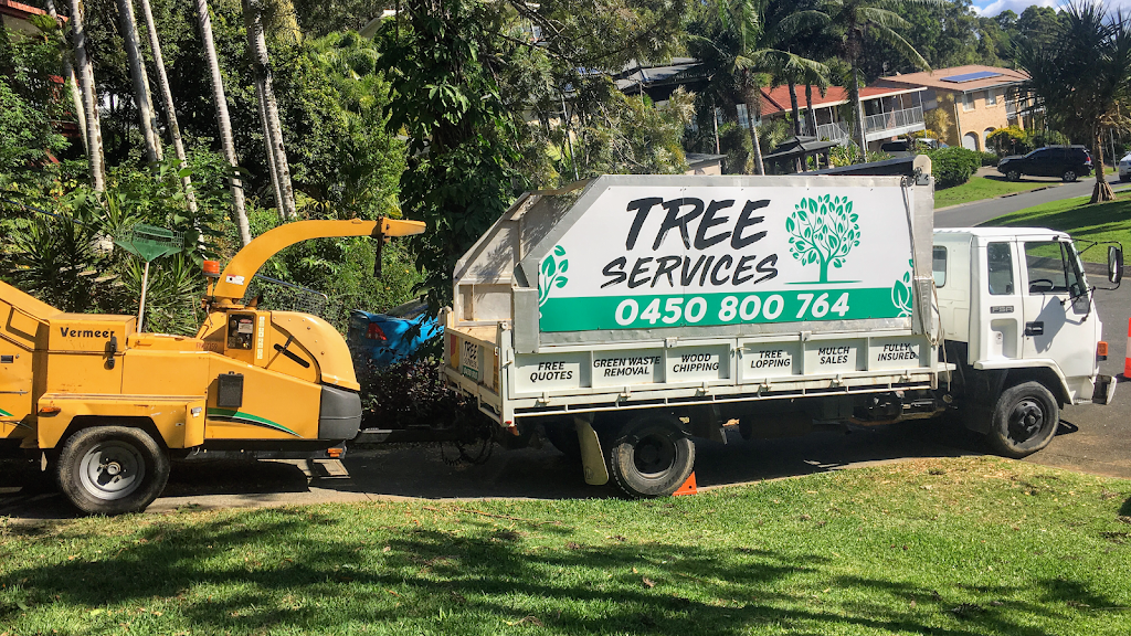 Gold Coast Tree Services | general contractor | 5 Fenton Dr, Tallebudgera QLD 4228, Australia | 0450800764 OR +61 450 800 764