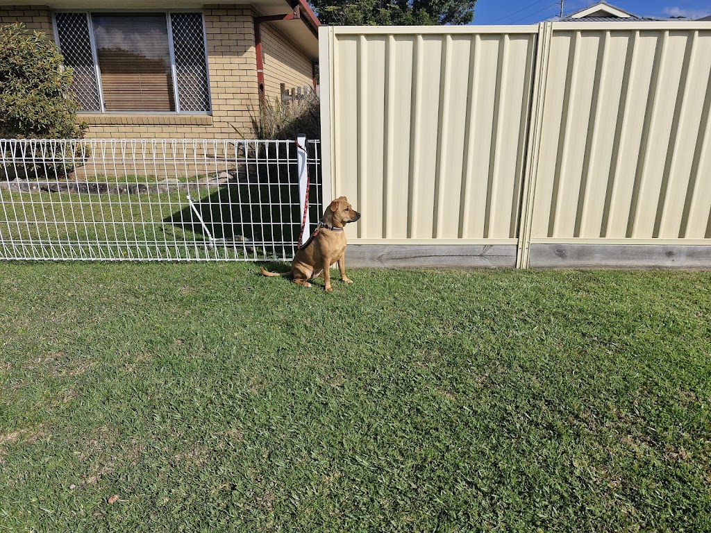 Canine Revolution Dog Training Coffs Harbour | 36 Upper Orara Rd, Karangi NSW 2450, Australia | Phone: 0414 251 177