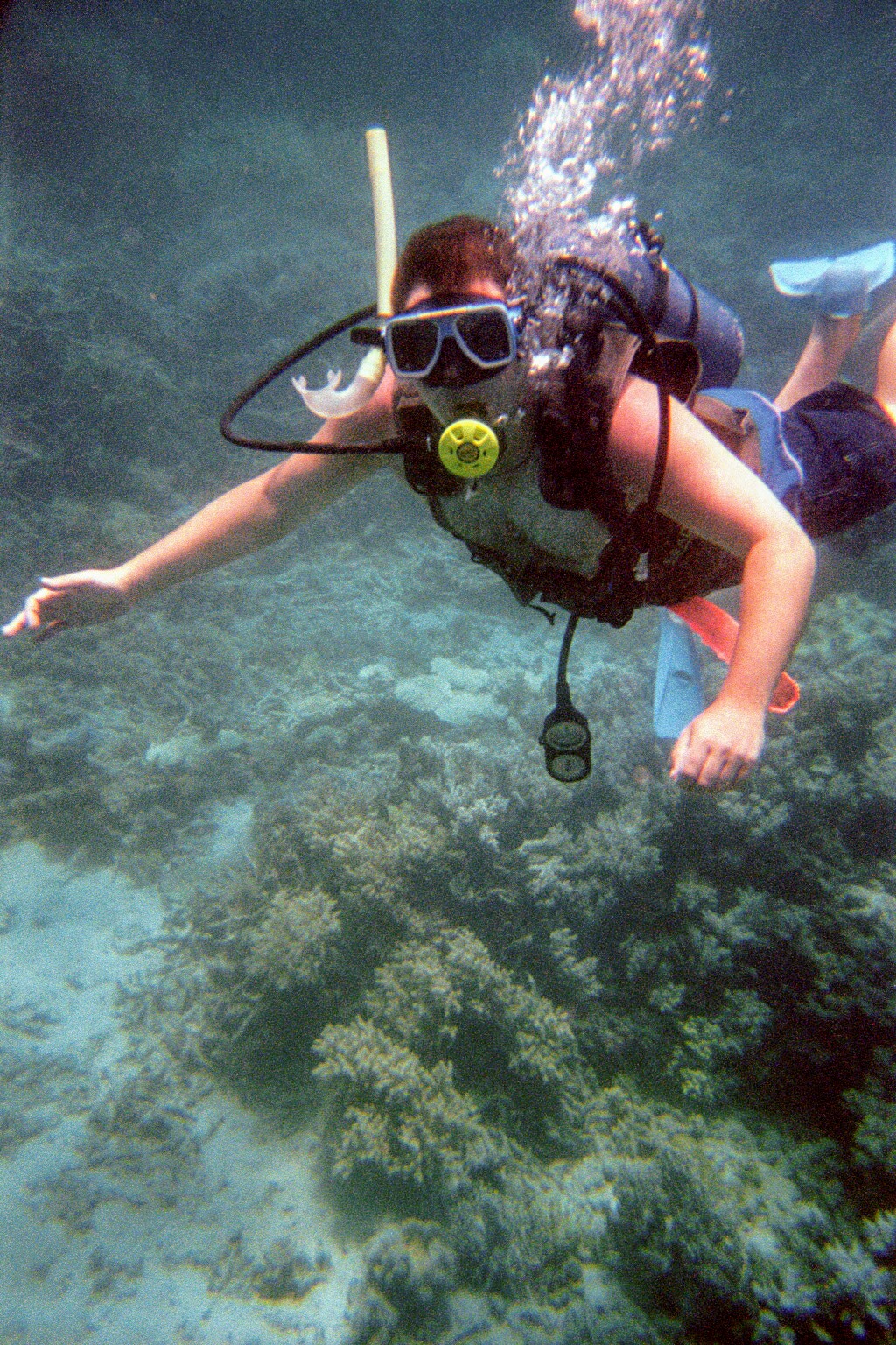 Mike Ball Dive Expeditions | travel agency | 3 Abbott St, Cairns City QLD 4870, Australia | 0740530500 OR +61 7 4053 0500