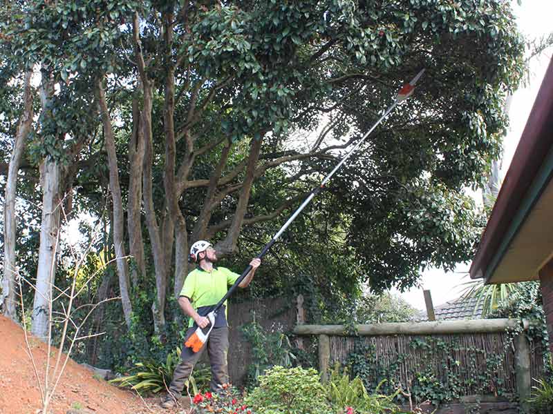Horwood Tree Services |  | 19 Elsie St, Wandin North VIC 3139, Australia | 0430447584 OR +61 430 447 584