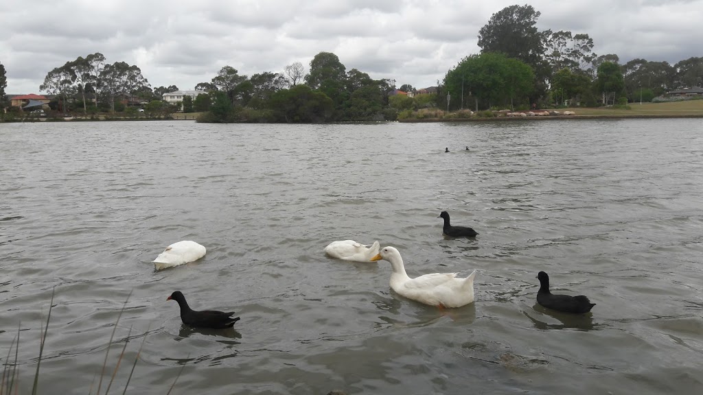 Wattle Grove Lake | park | Wattle Grove NSW 2173, Australia