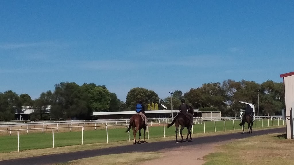 Narromine Racecourse | 151 Dappo Rd, Narromine NSW 2821, Australia | Phone: 0429 891 387