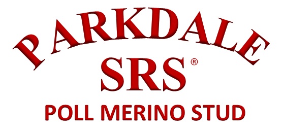 Parkdale SRS Poll Merino Stud | Parkdale 1580, Collie Rd, Kickabil NSW 2830, Australia | Phone: 0428 876 266