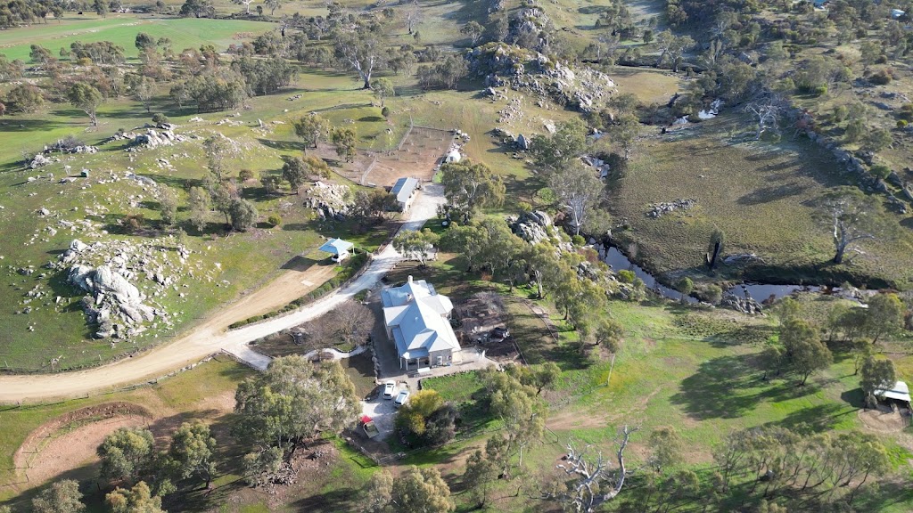 Lartunga Hollow Australian White Sheep Stud | 181 Moss Smith Rd, Eden Valley SA 5235, Australia | Phone: 0447 014 944