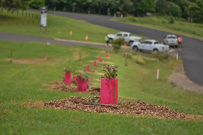 Maleny District Sport and Recreation Club | Maleny Sports Park, Parklands Drive via, Porters Ln, Maleny QLD 4552, Australia | Phone: 0438 779 601