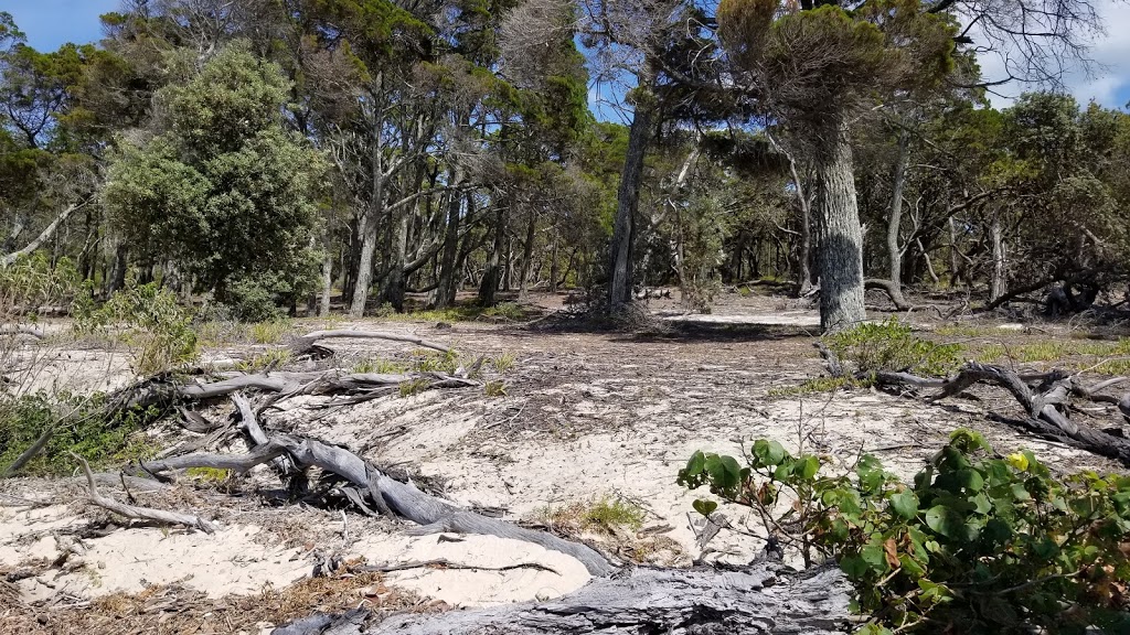 Teerk Roo Ra (Peel Island) Conservation Park | Peel Island QLD 4184, Australia | Phone: (07) 3006 6290