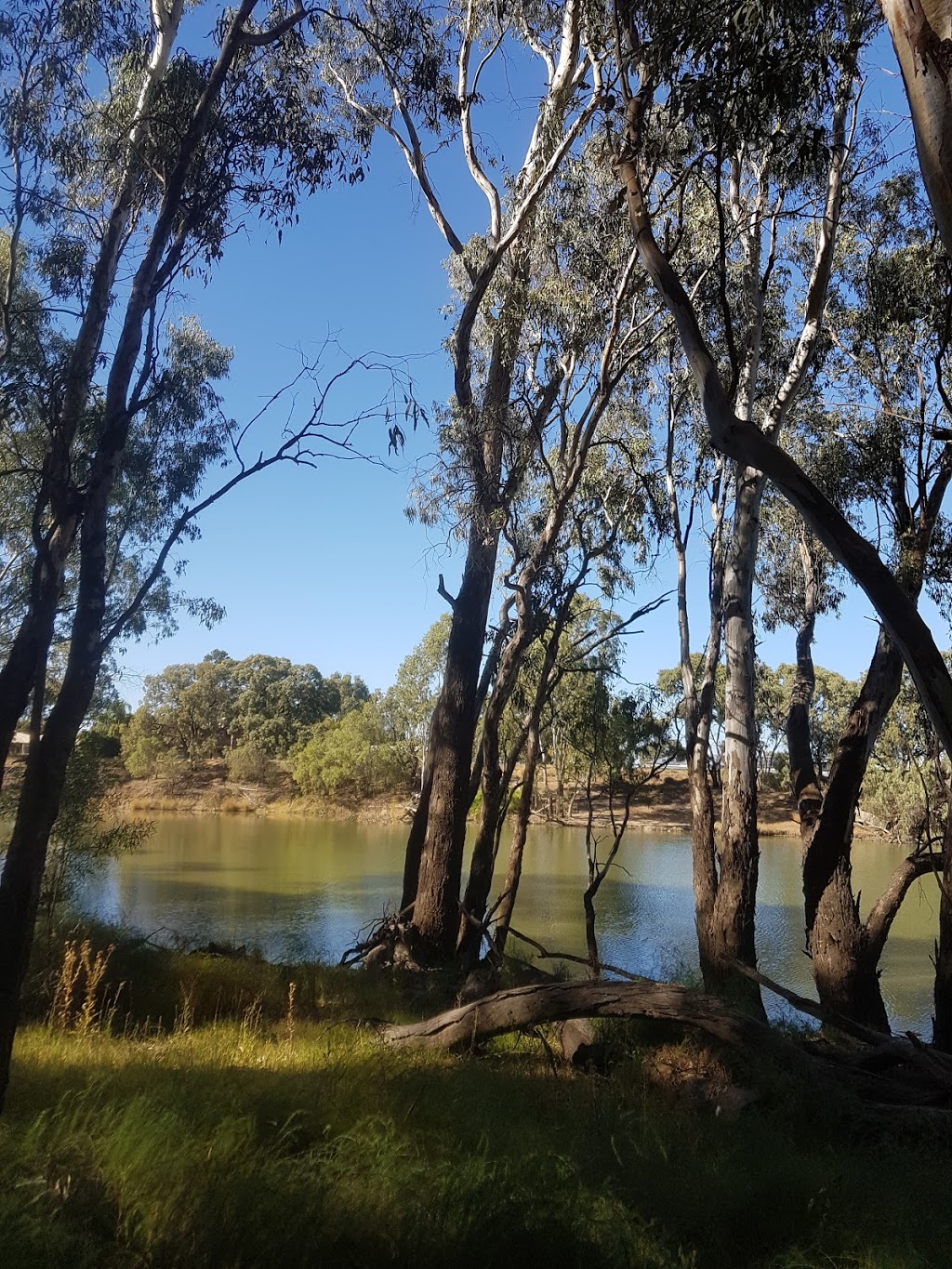 Redneck Shootin Supplies | 359 Lang St, Hay South NSW 2711, Australia | Phone: 0428 931 956