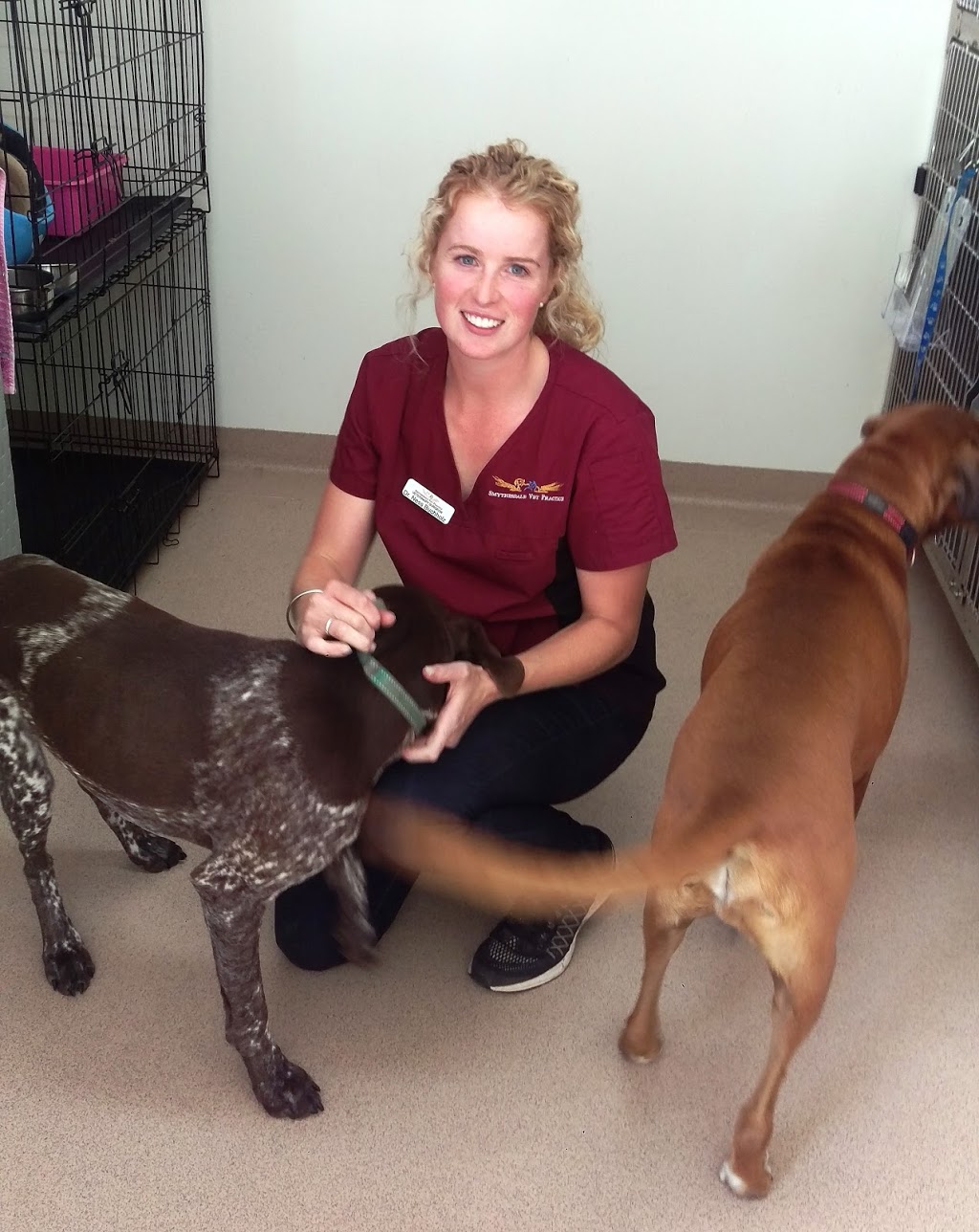Smythesdale Vet Practice | veterinary care | 45 Brooke St, Smythesdale VIC 3351, Australia | 53185750 OR +61 53185750