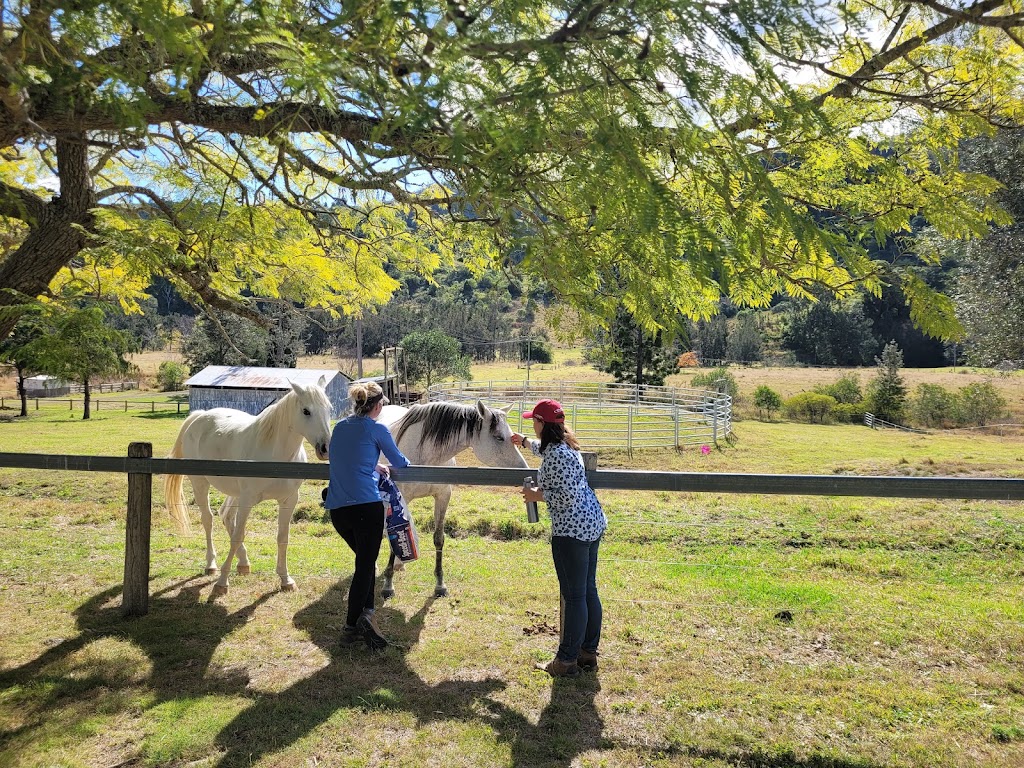 Sabrina Stephens Equine Assisted Therapy | 3434 Kerry Rd, Darlington QLD 4285, Australia | Phone: 0413 760 263