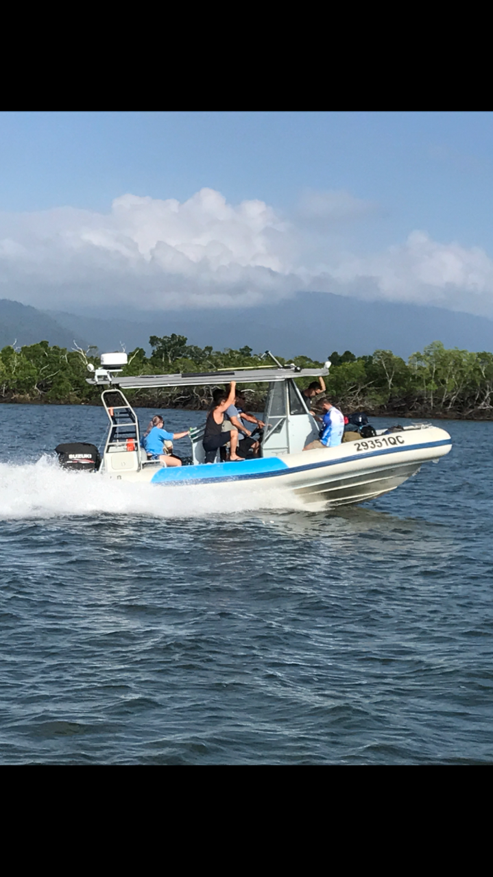 Hinchinbrook Island Cruises | Foxtail Ave Hinchinbrook, Harbour, Cardwell QLD 4849, Australia | Phone: 0499 335 383