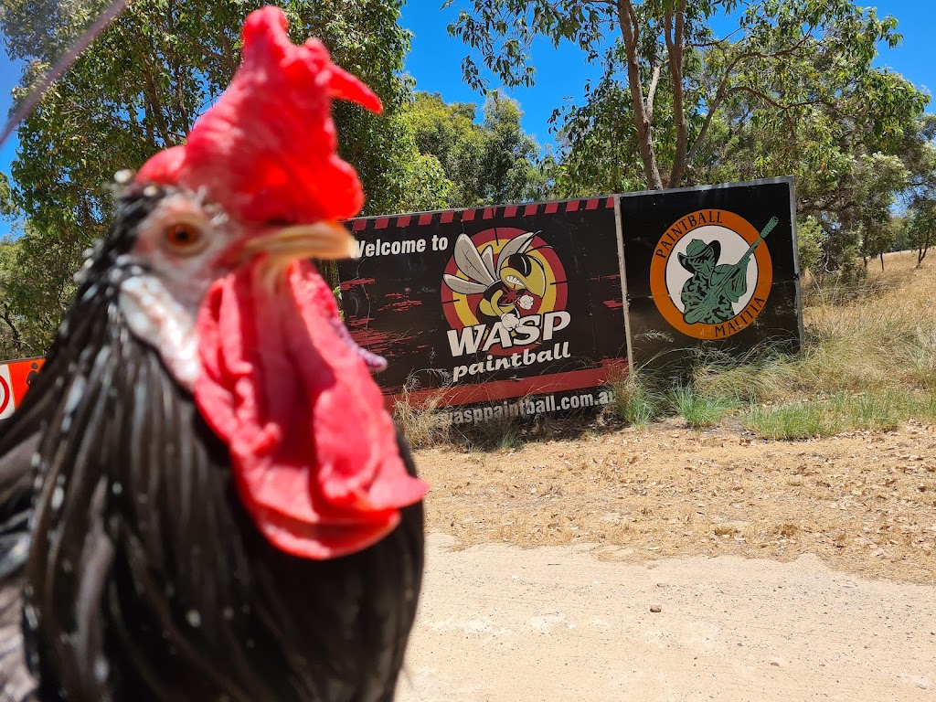 WASP Paintball Baldivis | Lot 128 Punrak Rd, Serpentine WA 6125, Australia | Phone: 0418 912 795