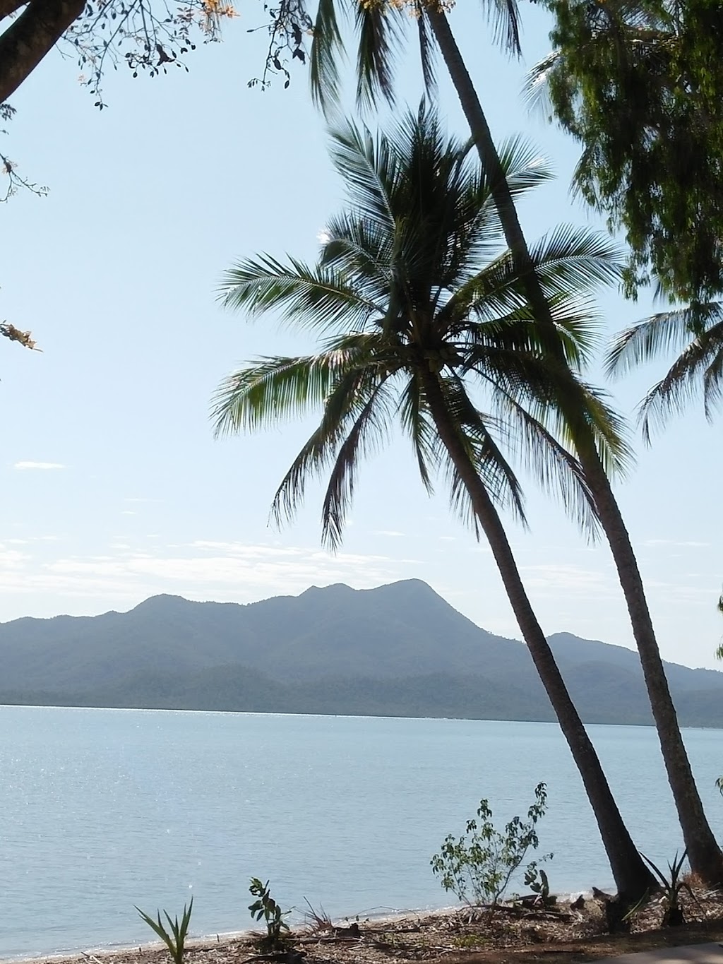 Port Hinchinbrook Accom | 10/14 Poinciana Blvd, Cardwell QLD 4849, Australia | Phone: (07) 4066 2250