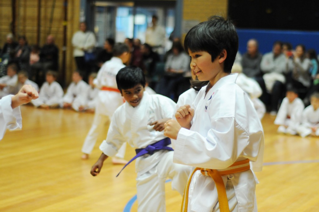 Zanshin Martial Arts - Duffy Dojo | health | Duffy Primary School, 47 Burrinjuck Crescent, Duffy ACT 2611, Australia | 0408440615 OR +61 408 440 615