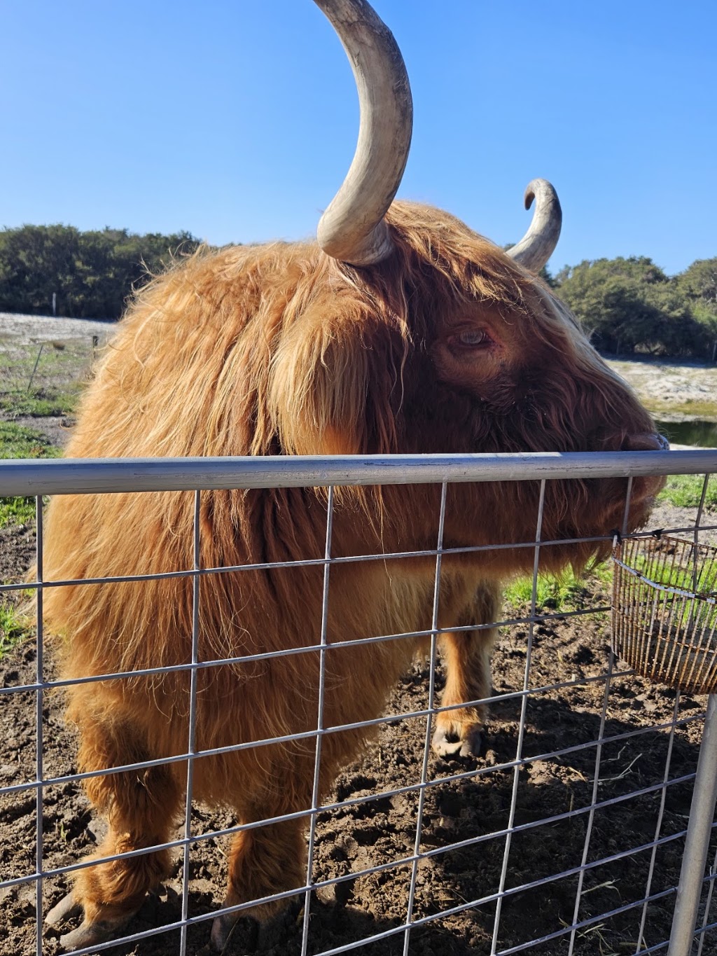 Esperance Bird & Animal Park Café | Lot 3/549 Coolgardie Esperance Hwy, Esperance WA 6450, Australia | Phone: (08) 9076 1067