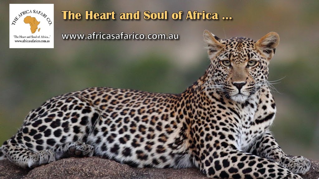 The Africa Safari Co. | Endeavour House, 1/3-5 Stapleton Avenue, Sutherland NSW 2232, Australia | Phone: (02) 9541 4199