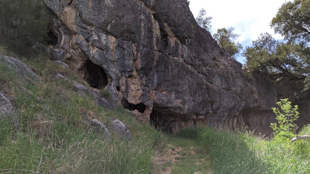 Verandah Cave | tourist attraction | Veranda Cave Walking Track, Borenore NSW 2800, Australia | 0263327640 OR +61 2 6332 7640
