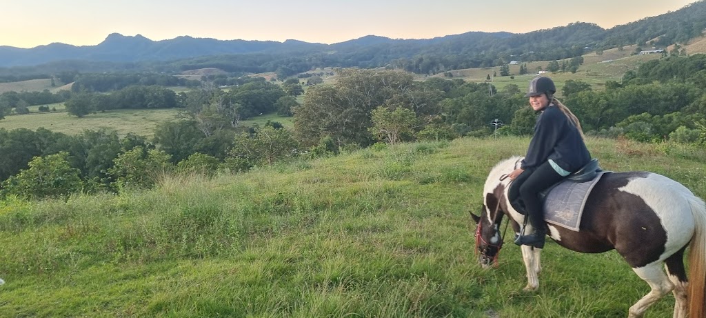 Breathe in Horses | 569 Numinbah Rd, North Arm NSW 2484, Australia | Phone: 0419 722 856