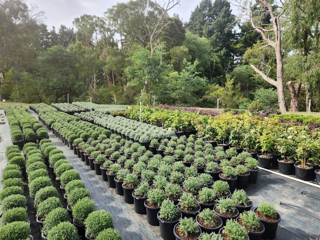 ML Trees | 34 Homestead Rd, Wonga Park VIC 3115, Australia | Phone: 0467 298 315