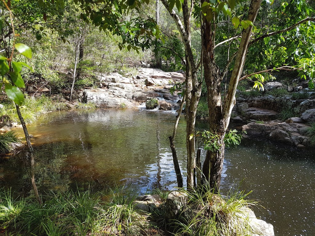 Woondum National Park | Mothar Mountain QLD 4570, Australia