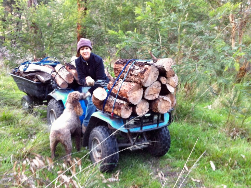 Animal Expert Witness Service | 309 Army Rd, Pakenham VIC 3810, Australia | Phone: 0425 310 625
