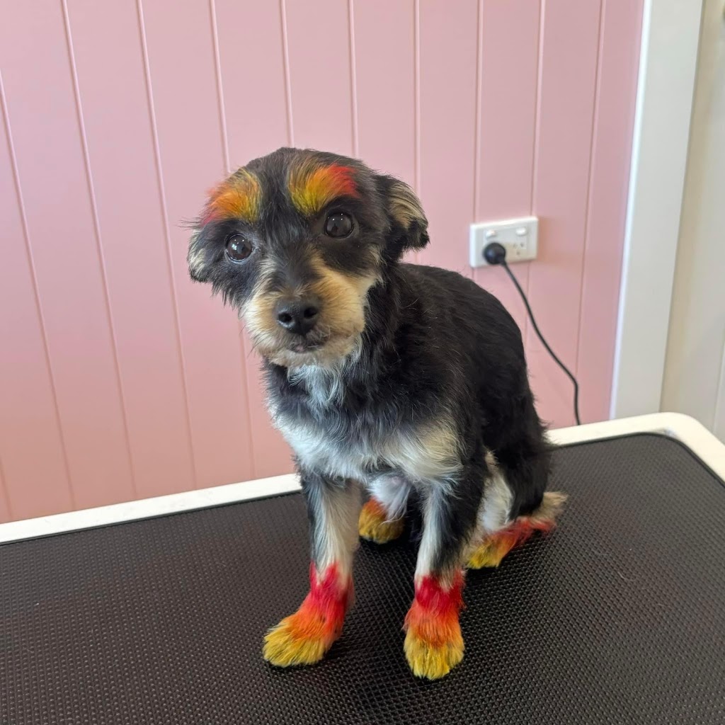 Puppy Love Dog Grooming | 15 Honeybee Cres, Calderwood NSW 2527, Australia | Phone: 0468 921 883