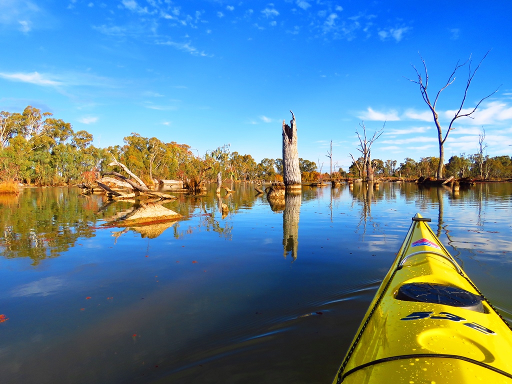 Sydney Harbour Kayaks Murray River Adventures (Cohuna, Vic) | 104 King Edward St, Cohuna VIC 3568, Australia | Phone: 0413 005 787