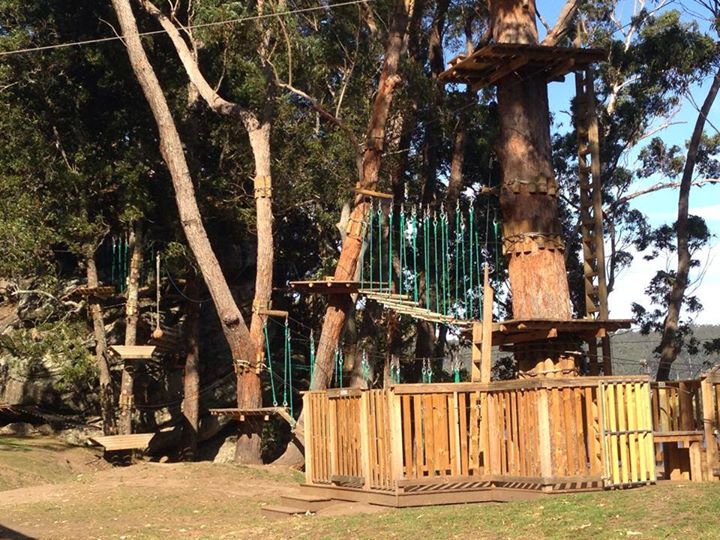 Trees Adventure - Nowra Park | tourist attraction | 23 Rock Hill Rd, North Nowra NSW 2541, Australia | 0244214830 OR +61 2 4421 4830