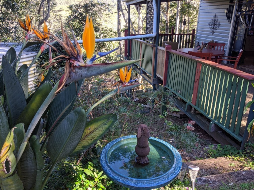 Rainforest Tranquility | Mount Glorious QLD 4520, Australia