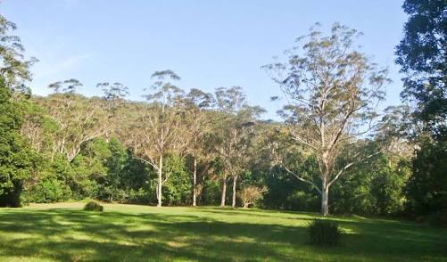 Red Cedar Flats Picnic Area | Lady Wakehurst Dr, Lilyvale NSW 2508, Australia | Phone: (02) 9542 0648