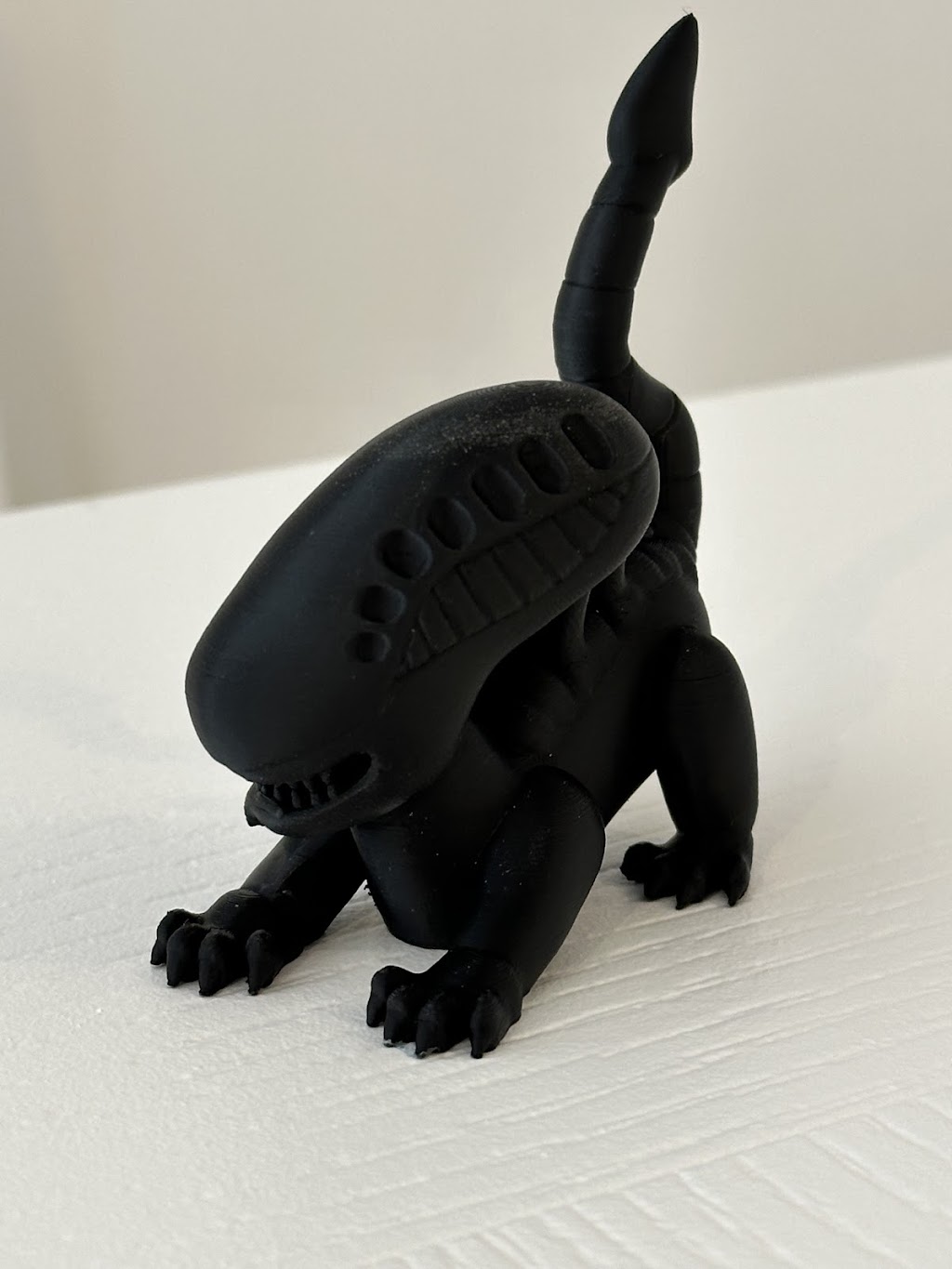 Filament Fusion | Lakes St, Thirlmere NSW 2572, Australia | Phone: 0434 357 566