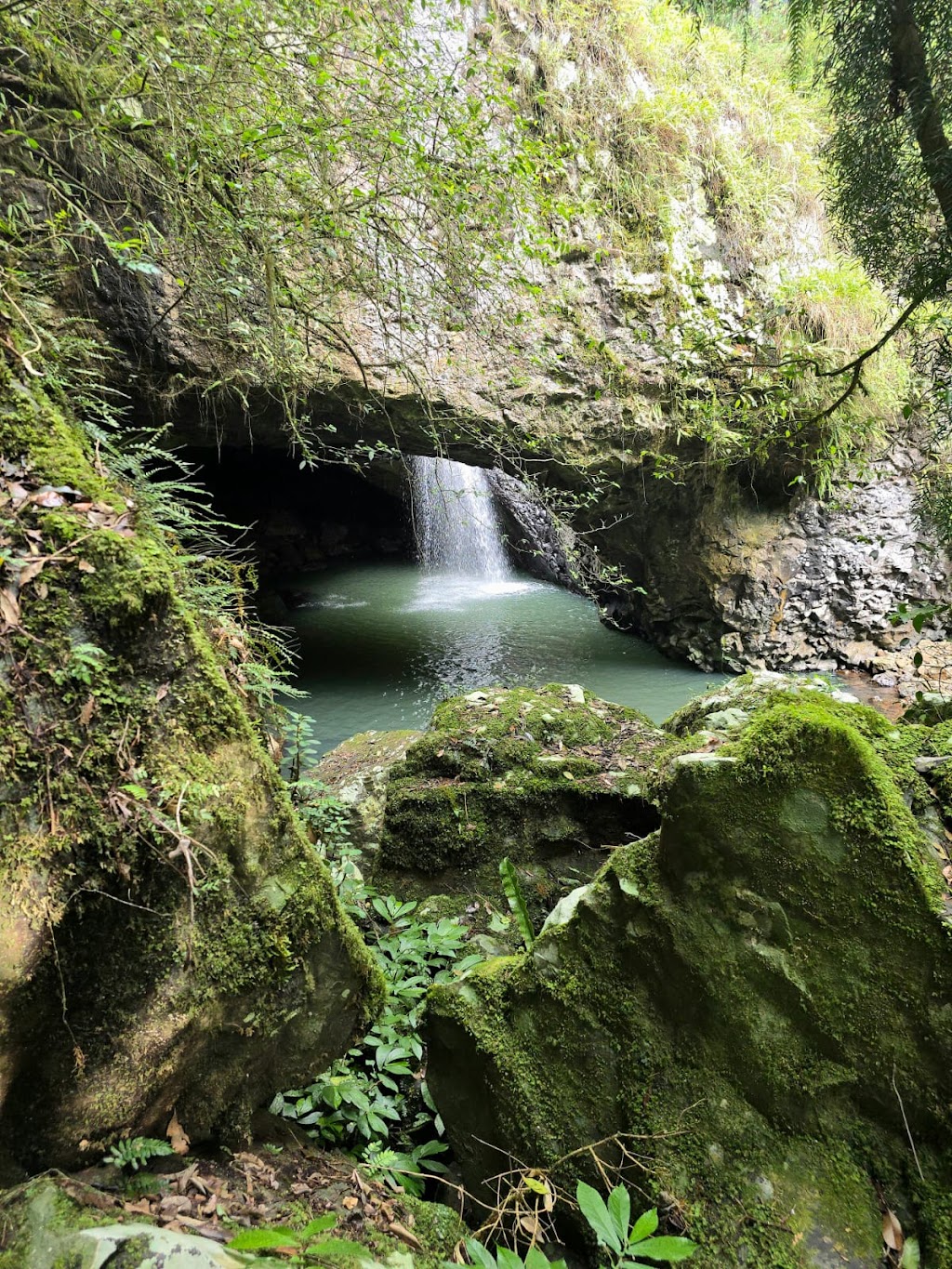 Aussie Backyard Tours | 32 Denman St, Greenslopes QLD 4120, Australia | Phone: 0430 552 032