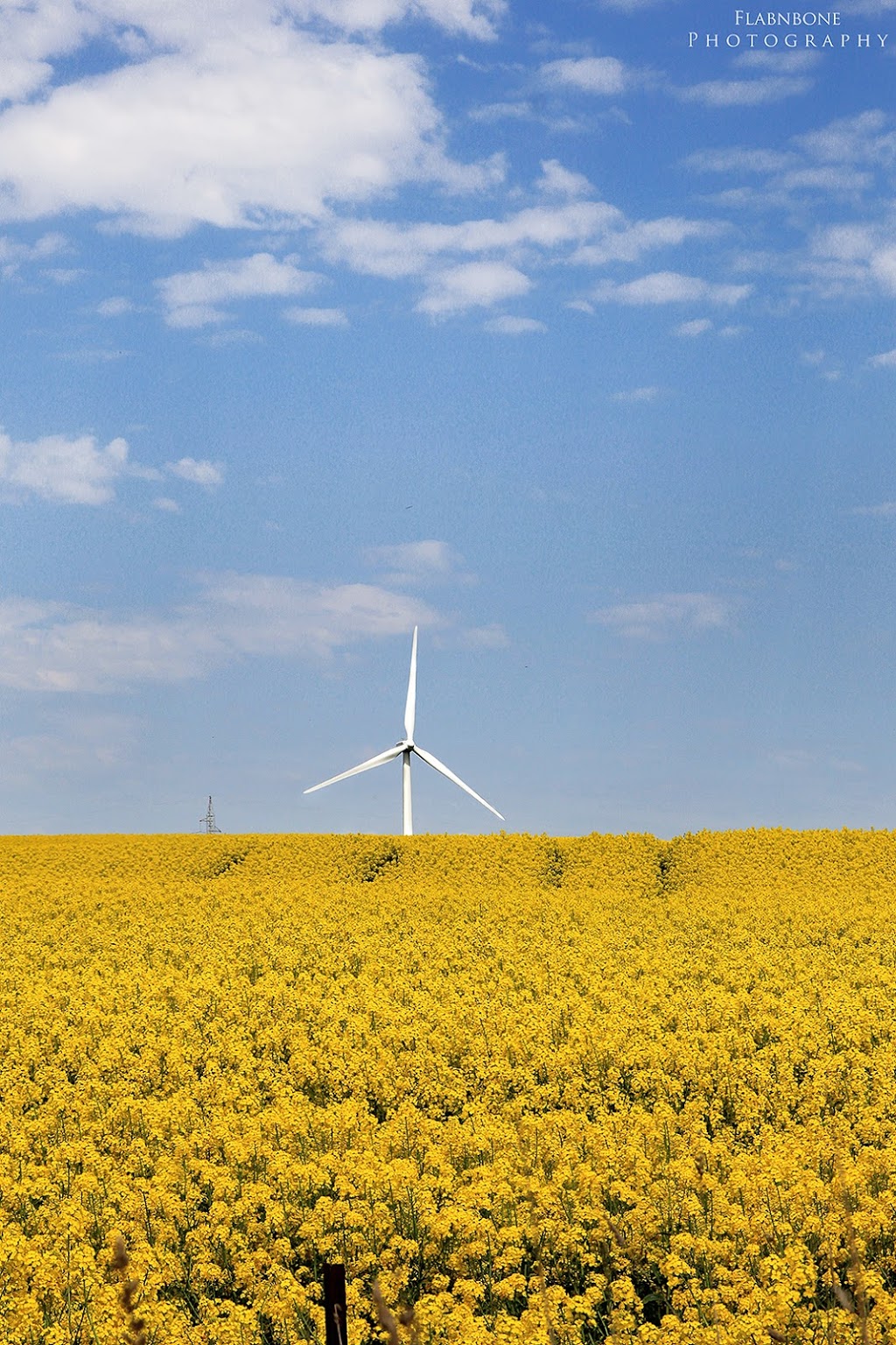 Waubra Wind Farm |  | 275 Harrisons Rd, Waubra VIC 3352, Australia | 0427832896 OR +61 427 832 896