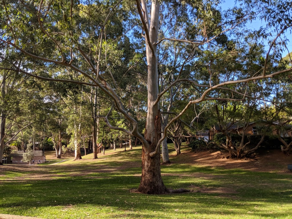 Stringybark Creek Reserve | park | Murray St, Lane Cove North NSW 2066, Australia | 0299113555 OR +61 2 9911 3555