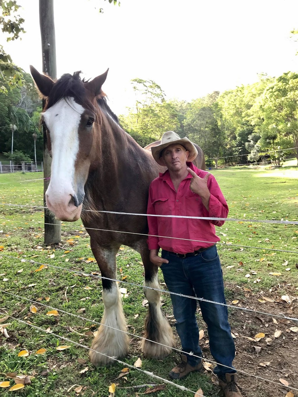 Equine Assisted Therapy Australia Pty Ltd RTO no 41482 |  | 309 Petsch Creek Rd, Tallebudgera Valley QLD 4228, Australia | 0404787162 OR +61 404 787 162