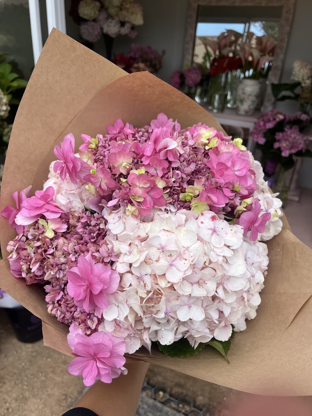 Flora By Maxiflora | 1 Samuel Amess Dr, Newhaven VIC 3925, Australia | Phone: 0403 184 134