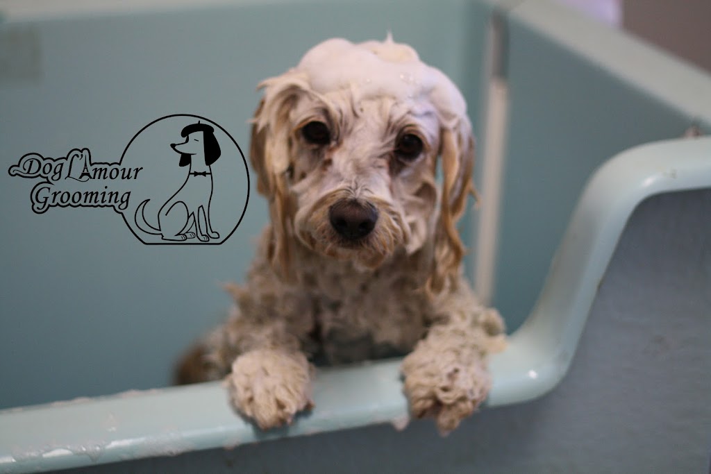 Dog L’amour Grooming | 43 Flinders St, Redbank Plains QLD 4301, Australia | Phone: 0460 588 303